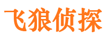 宝丰市侦探公司